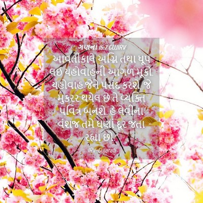 Picture 04 - ગણના 16:7 GUJIRV - આવતીકાલે અગ્નિ - Bible Verse Picture