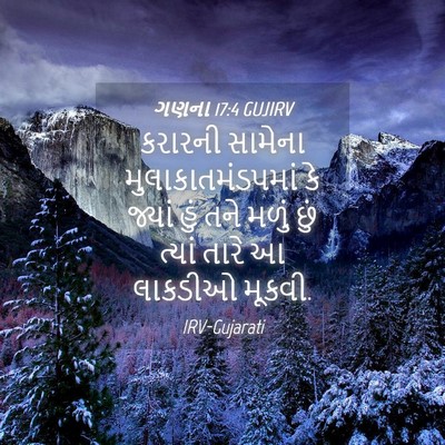 Picture 04 - ગણના 17:4 GUJIRV - કરારની સામેના - Bible Verse Picture
