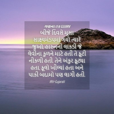 Picture 04 - ગણના 17:8 GUJIRV - બીજે દિવસે મૂસા - Bible Verse Picture