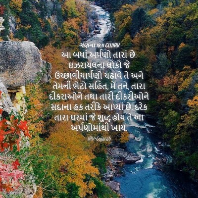 Picture 04 - ગણના 18:11 GUJIRV - આ બધાં અર્પણો - Bible Verse Picture