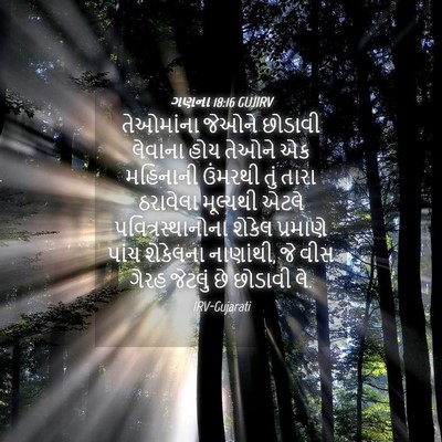 Picture 04 - ગણના 18:16 GUJIRV - તેઓમાંના જેઓને - Bible Verse Picture