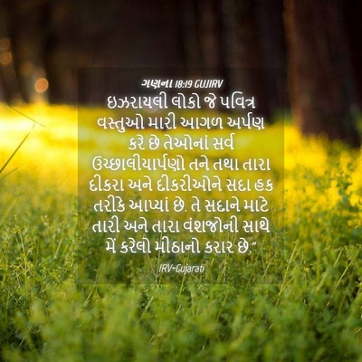 Picture 04 - ગણના 18:19 GUJIRV - ઇઝરાયલી લોકો જે - Bible Verse Picture