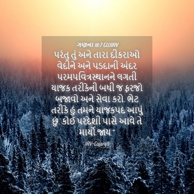 Picture 04 - ગણના 18:7 GUJIRV - પરંતુ તું અને તારા - Bible Verse Picture