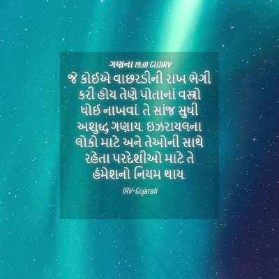 Picture 04 - ગણના 19:10 GUJIRV - જે કોઈએ વાછરડીની - Bible Verse Picture