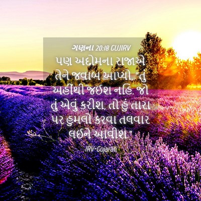 Picture 04 - ગણના 20:18 GUJIRV - પણ અદોમના રાજાએ - Bible Verse Picture