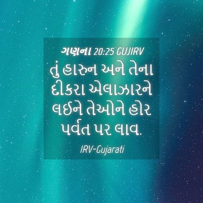 Picture 04 - ગણના 20:25 GUJIRV - તું હારુન અને તેના - Bible Verse Picture