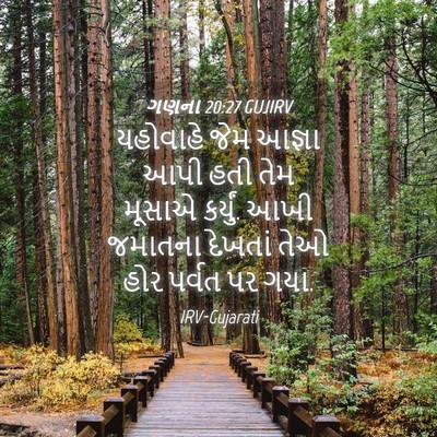 Picture 04 - ગણના 20:27 GUJIRV - યહોવાહે જેમ આજ્ઞા - Bible Verse Picture