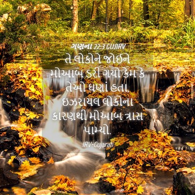 Picture 04 - ગણના 22:3 GUJIRV - તે લોકોને જોઈને - Bible Verse Picture