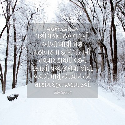 Picture 04 - ગણના 22:31 GUJIRV - પછી યહોવાહે - Bible Verse Picture