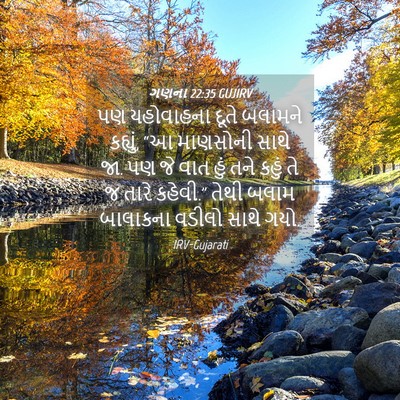 Picture 04 - ગણના 22:35 GUJIRV - પણ યહોવાહના દૂતે - Bible Verse Picture