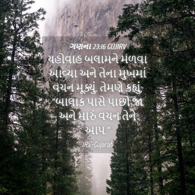 Picture 04 - ગણના 23:16 GUJIRV - યહોવાહ બલામને - Bible Verse Picture