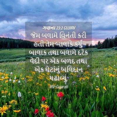 Picture 04 - ગણના 23:2 GUJIRV - જેમ બલામે વિનંતી - Bible Verse Picture