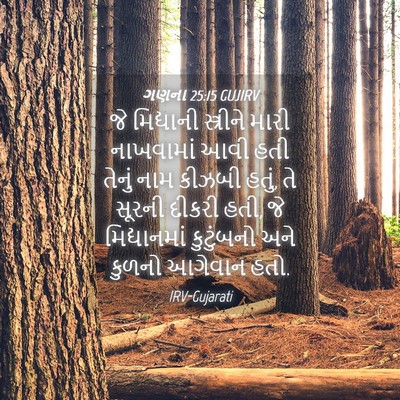Picture 04 - ગણના 25:15 GUJIRV - જે મિદ્યાની - Bible Verse Picture