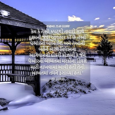 Picture 04 - ગણના 25:18 GUJIRV - કેમ કે તેઓ કપટથી - Bible Verse Picture