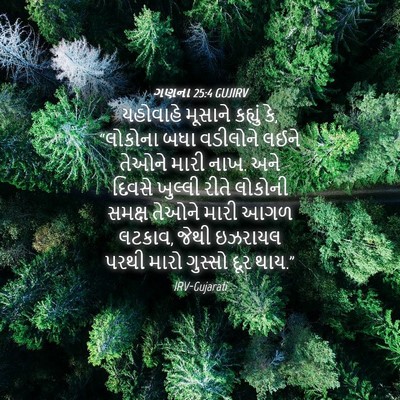 Picture 04 - ગણના 25:4 GUJIRV - યહોવાહે મૂસાને - Bible Verse Picture