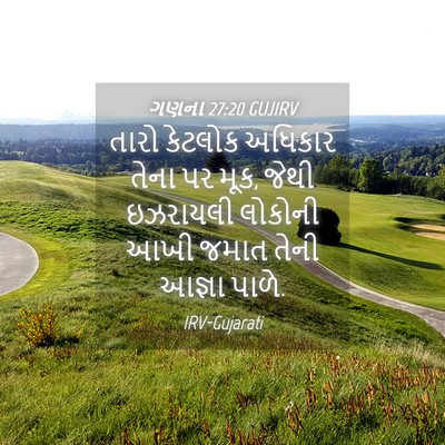 Picture 04 - ગણના 27:20 GUJIRV - તારો કેટલોક - Bible Verse Picture