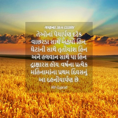 Picture 04 - ગણના 28:14 GUJIRV - તેઓનાં પેયાર્પણ - Bible Verse Picture