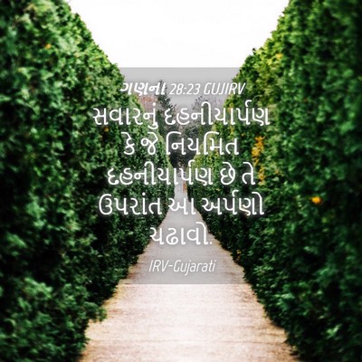 Picture 04 - ગણના 28:23 GUJIRV - સવારનું - Bible Verse Picture