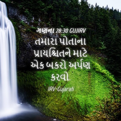 Picture 04 - ગણના 28:30 GUJIRV - તમારા પોતાના - Bible Verse Picture