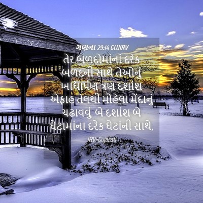Picture 04 - ગણના 29:14 GUJIRV - તેર બળદોમાંનાં - Bible Verse Picture