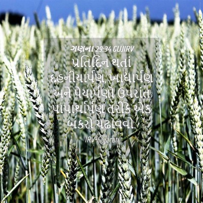 Picture 04 - ગણના 29:34 GUJIRV - પ્રતિદિન થતાં - Bible Verse Picture