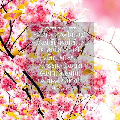 Picture 04 - ગણના 29:39 GUJIRV - તમારાં આ - Bible Verse Picture