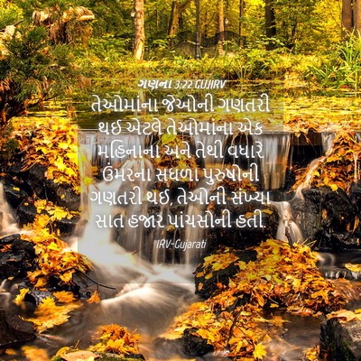 Picture 04 - ગણના 3:22 GUJIRV - તેઓમાંના જેઓની - Bible Verse Picture