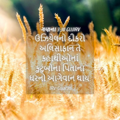 Picture 04 - ગણના 3:30 GUJIRV - ઉઝિયેલનો દીકરો - Bible Verse Picture