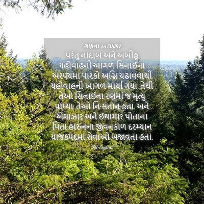 Picture 04 - ગણના 3:4 GUJIRV - પરંતુ નાદાબ અને - Bible Verse Picture