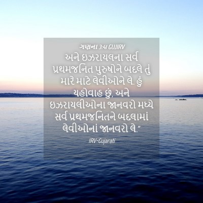 Picture 04 - ગણના 3:41 GUJIRV - અને ઇઝરાયલના સર્વ - Bible Verse Picture
