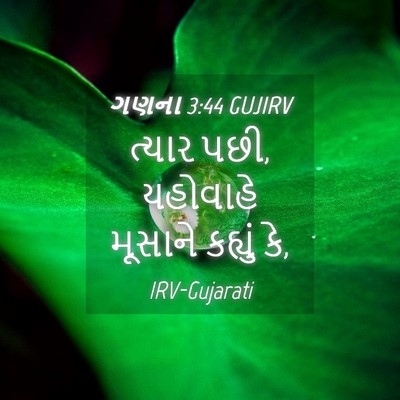 Picture 04 - ગણના 3:44 GUJIRV - ત્યાર પછી, યહોવાહે - Bible Verse Picture