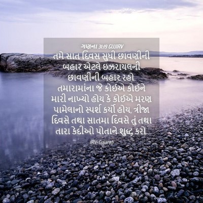 Picture 04 - ગણના 31:19 GUJIRV - તમે સાત દિવસ સુધી - Bible Verse Picture