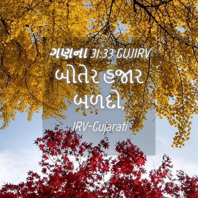 Picture 04 - ગણના 31:33 GUJIRV - બોતેર હજાર - Bible Verse Picture