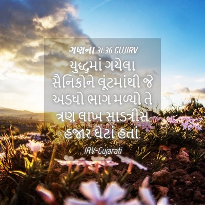 Picture 04 - ગણના 31:36 GUJIRV - યુદ્ધમાં ગયેલા - Bible Verse Picture