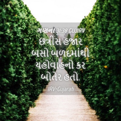 Picture 04 - ગણના 31:38 GUJIRV - છત્રીસ હજાર બસો - Bible Verse Picture