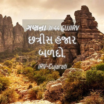 Picture 04 - ગણના 31:44 GUJIRV - છત્રીસ હજાર - Bible Verse Picture