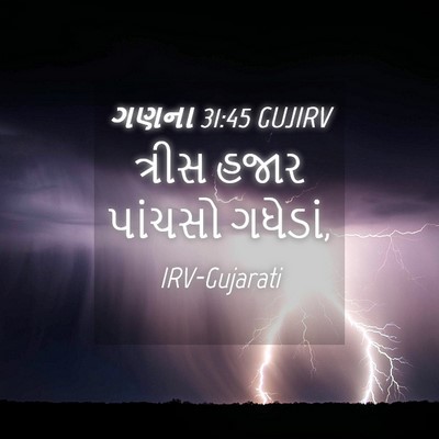 Picture 04 - ગણના 31:45 GUJIRV - ત્રીસ હજાર પાંચસો - Bible Verse Picture