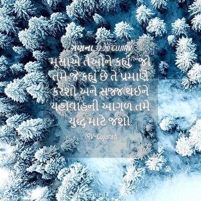 Picture 04 - ગણના 32:20 GUJIRV - મૂસાએ તેઓને - Bible Verse Picture