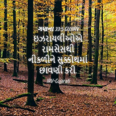Picture 04 - ગણના 33:5 GUJIRV - ઇઝરાયલીઓએ - Bible Verse Picture