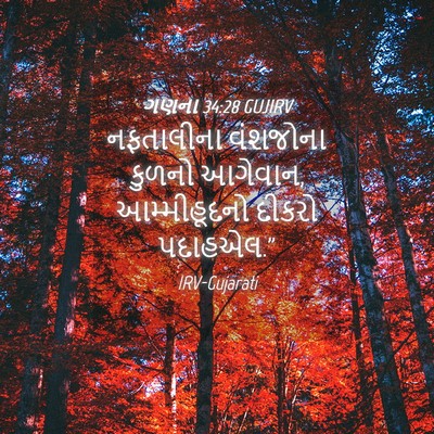 Picture 04 - ગણના 34:28 GUJIRV - નફતાલીના વંશજોના - Bible Verse Picture