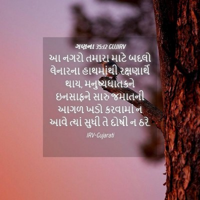 Picture 04 - ગણના 35:12 GUJIRV - આ નગરો તમારા માટે - Bible Verse Picture