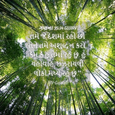 Picture 04 - ગણના 35:34 GUJIRV - તમે જે દેશમાં રહો - Bible Verse Picture
