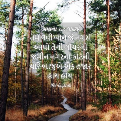Picture 04 - ગણના 35:4 GUJIRV - તમે લેવીઓને જે - Bible Verse Picture