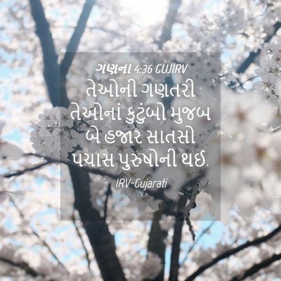 Picture 04 - ગણના 4:36 GUJIRV - તેઓની ગણતરી - Bible Verse Picture