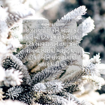 Picture 04 - ગણના 5:2 GUJIRV - ઇઝરાયલી લોકોને - Bible Verse Picture