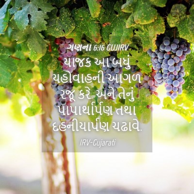 Picture 04 - ગણના 6:16 GUJIRV - યાજક આ બધું - Bible Verse Picture