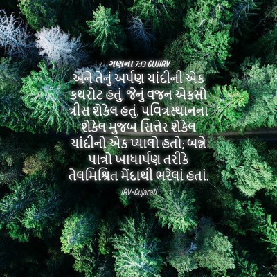 Picture 04 - ગણના 7:13 GUJIRV - અને તેનું અર્પણ - Bible Verse Picture