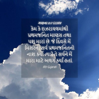 Picture 04 - ગણના 8:17 GUJIRV - કેમ કે - Bible Verse Picture