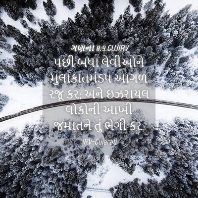 Picture 04 - ગણના 8:9 GUJIRV - પછી બધા લેવીઓને - Bible Verse Picture
