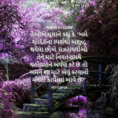 Picture 04 - ગણના 9:7 GUJIRV - તેઓએ મૂસાને - Bible Verse Picture